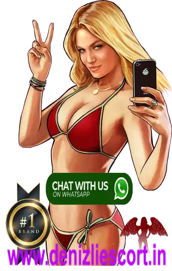  Call girl whatsapp number in Chittorgarh
